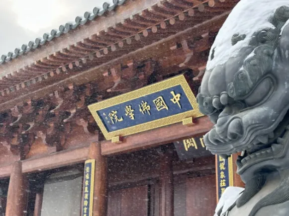 中国佛学院校舍项目外电源工程图片 1