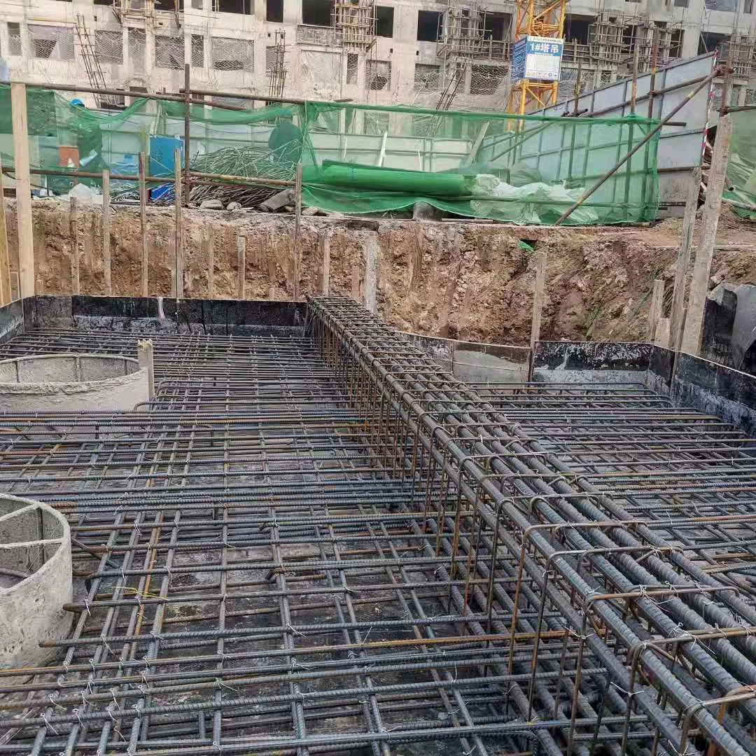 新航城噪声区安置房二期（礼贤组团）工程图片 7